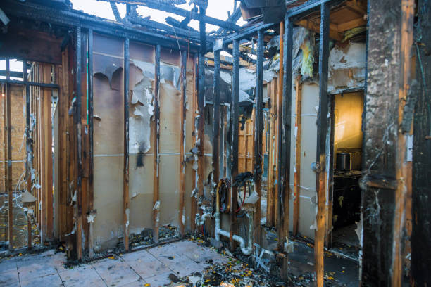 Professional Fire Damage Removal technician working in Youngtown, AZ